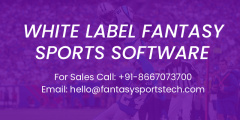 Fantasy Sports Tech - Fantasy Sports App Development Company